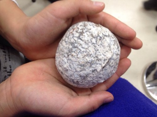 1915139's profile picture. 