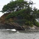 najma mohammed - @najma13 - Twitter