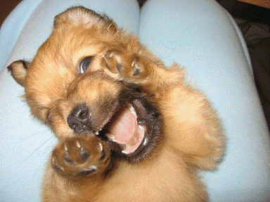 babykay009's profile picture. 