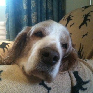 shudsonlondon's profile picture. 