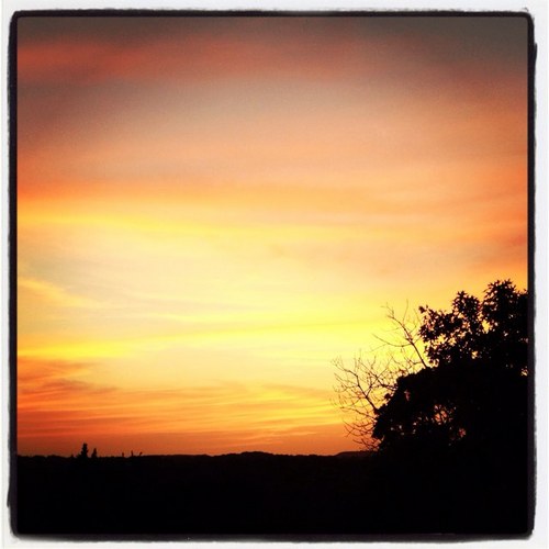 ceci_ATX's profile picture. 