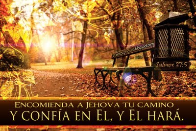 ilanangulo's profile picture. 