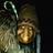 tomp115's profile image