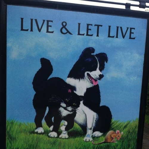 The Live's doors are closed now but we hope someone really nice buys it and reopens it very soon.