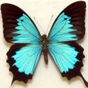 Weddingvalle - @AnnieHung1 - Twitter