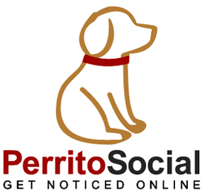 Wondering about the online world? Learn about Perrito, the social saviour! We dish out our favourite tips on getting social, with a side of adorable.
