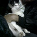 Shani Hadiyanto (@shanihp) Twitter profile photo Shani Hadiyanto (@shanihp) Twitter profile photo