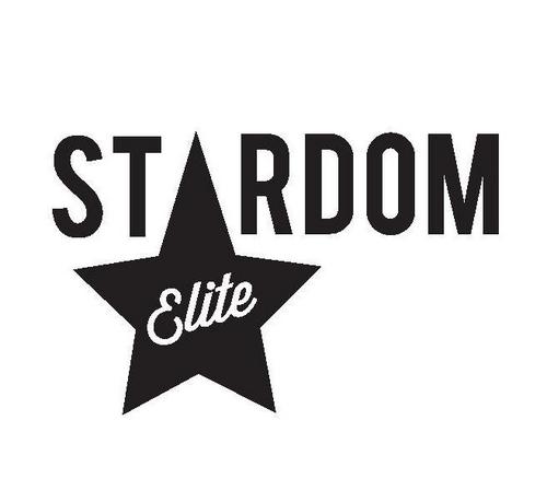 Stardom Elite is an All-Star cheerleading gym located in Hudson, WI.