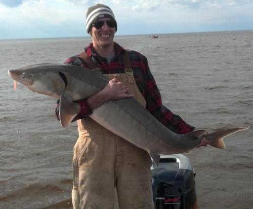 perr0278's profile picture. 