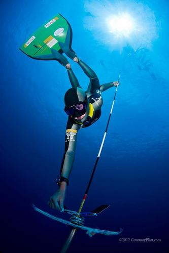 Your source for everything freediving!