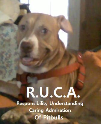 R.U.C.A. (Responsibility Understanding Caring Admiration) of Pitbulls. Pro-pit bull & pit bull advocacy.  Turning negativity into positivity