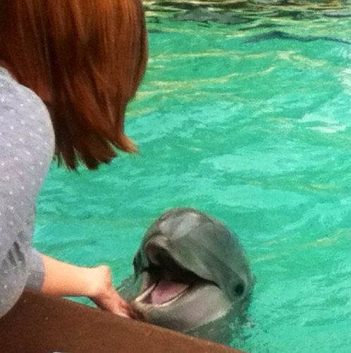 KaraShirey's profile picture. Don't cry because it's over, smile because it happened. 
— Dr. Seuss