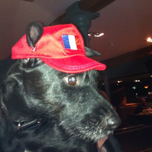 Join me @ TNQ Restaurant, Black Dog Ballroom, Dog Bowl, Cane & Grain, Science & Industry, Crazy Pedro's, The Liars Club or walking Bruce