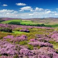 NorthYorkshireStay (@northyorksstay) 's Twitter Profile