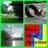 NRJunction's profile image