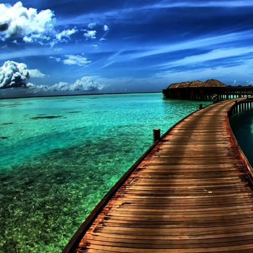 vegan_flump's profile picture. love✨sparkles✨#positivity #vegan #runner #mother on journey from flump to fit #peace #love