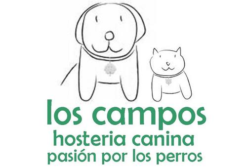 el hotel mas exclusivo para tu perro, donde lo ves todos los dias, aun estando lejos... #doglovehotel