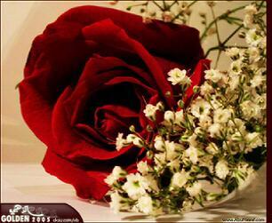 So0os0o01's profile picture. الحمدلله على كل حال