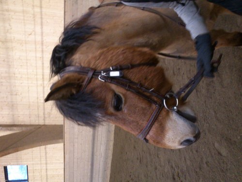 Klurix_99's profile picture. 