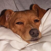 jkc (@jodykchang) 's Twitter Profile