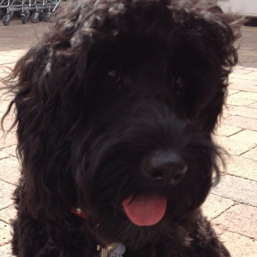 Jimbo_Luke's profile picture. 