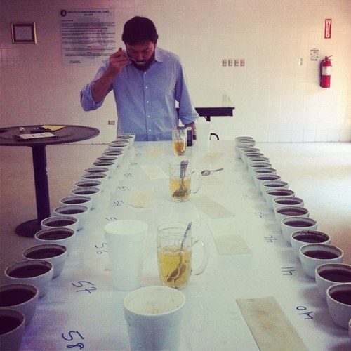 steve_mierisch's profile picture. 