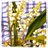 IsaClmentVitori's profile image
