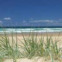 motherearth (@motherearth16) 's Twitter Profile