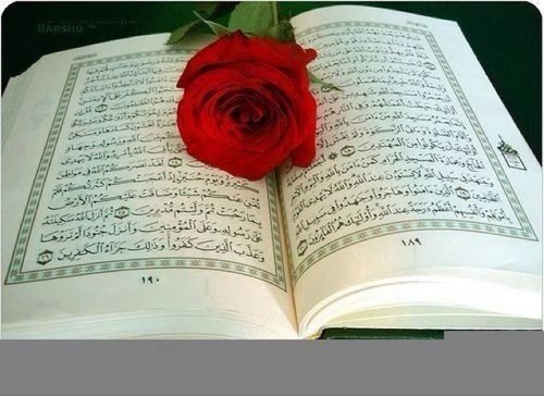 nawal666's profile picture. هجرت بعض أحبتي طوعا لأني ،،،رأيت قلوبهم تهوى فراقي،،،،،،نعم اشتاق لهم ولكن ،،،، وضعت كرامتي فوق اشتياقي ،،،،،،،ارغب في وصلهم دوما ولكن طريق الذل لا تهواه ساقي 