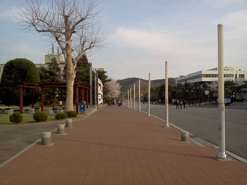 경기도 안산, 영문과 전공, 경영학 부전공, 영화감상,구기종목