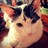 OddFukinTronCat's profile image
