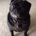 al salazar - @alzknowing - Twitter