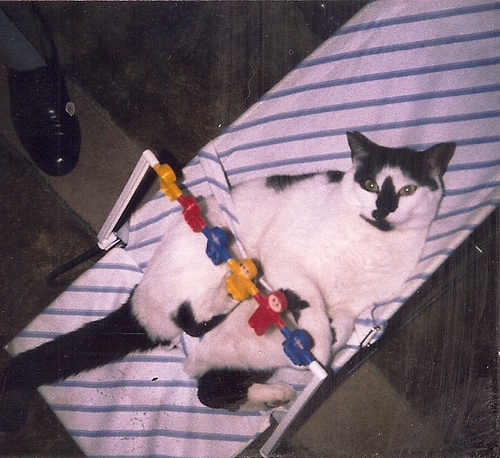 GeraldineFrenc1's profile picture. 