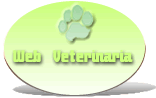 Entérate de los mejores eventos y promociones veterinarias en México