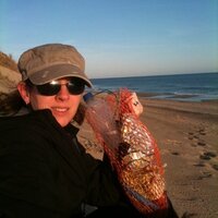Ellen Curren(@ellencurren) 's Twitter Profile Photo