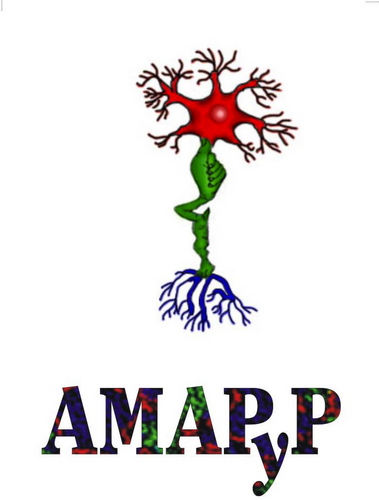 Asociación AMAPyP