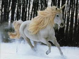 iscarumo80's profile picture. Rumo 80!