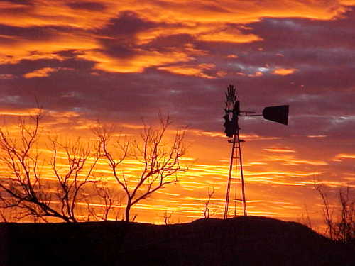 wtxguy's profile picture. Just a West Texas guy