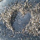 Sarah McQuade - @SMHistoryMaker - Twitter