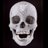 PAPRONTO's profile image