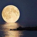 Suzanne Combs - @CombsSuzanne - Twitter