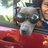 sponda1976's profile image