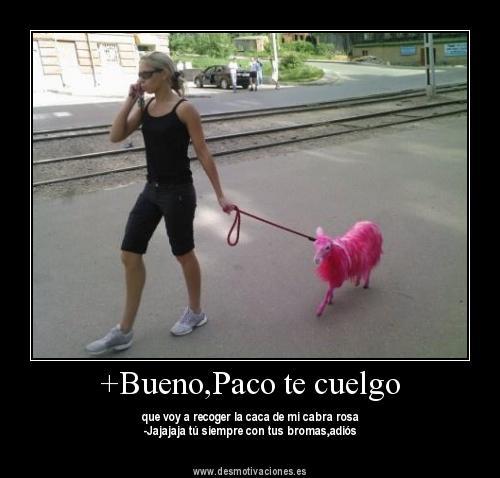 ツ smile, aqui hay de todo un poco sigueme y te sigo :3 tuits humildes xD