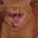 sherry simms - @SimmsSherry - Twitter