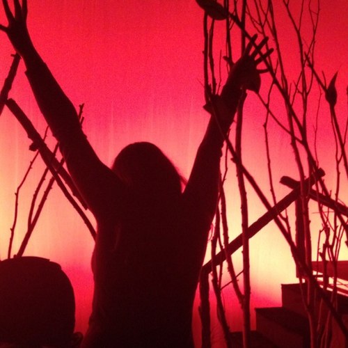 Great_Heidini's profile picture. 