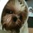 measureofgrace's profile image