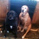 Sherry Norton - @Snorton19 - Twitter