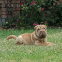 Norma Acuña - @n_ao1 - Twitter