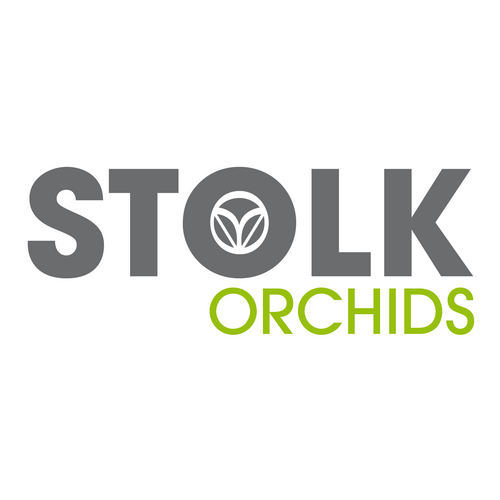 Stolk Orchids, Waddinxveen, Orchideeën, Holland, Grower, Tips & Tricks, Impressions