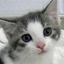 Tan Hock Leong - @TanHockLeong - Twitter